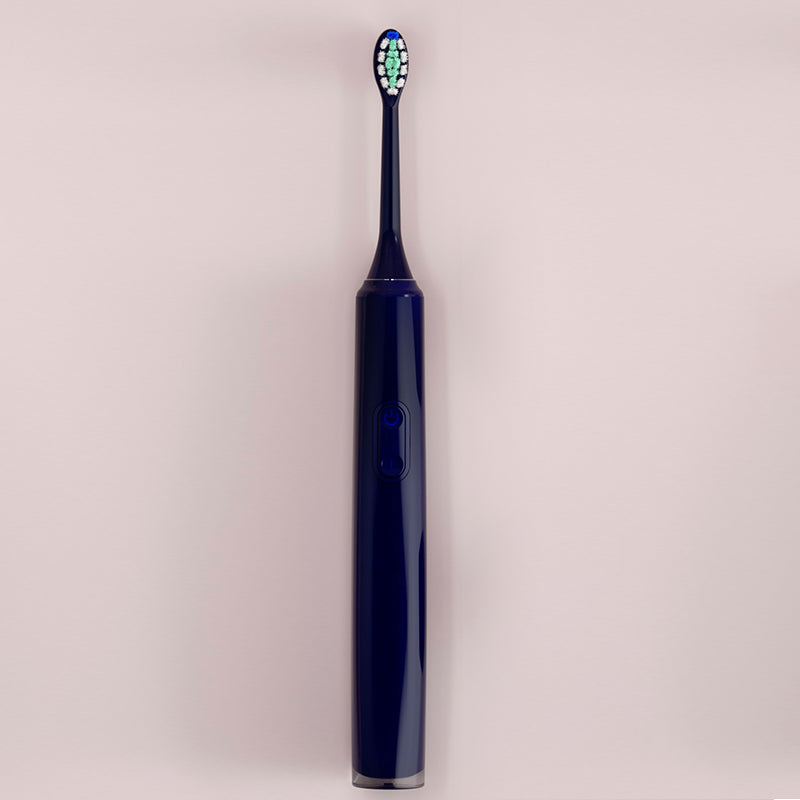 Wholesale Premium Induction Charging Electric Toothbrushes