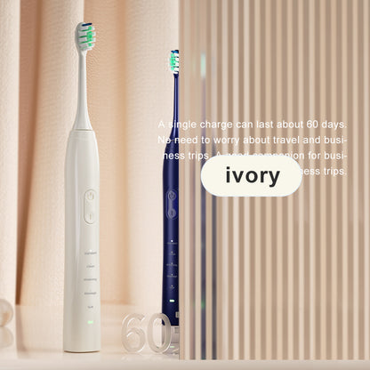 Customize Rechargeable Sonic Electric Toothbrush for Adult