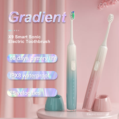 Wholesale Premium Induction Charging Electric Toothbrushes