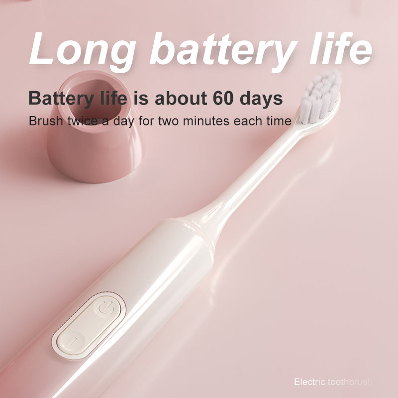 Wholesale Premium Induction Charging Electric Toothbrushes