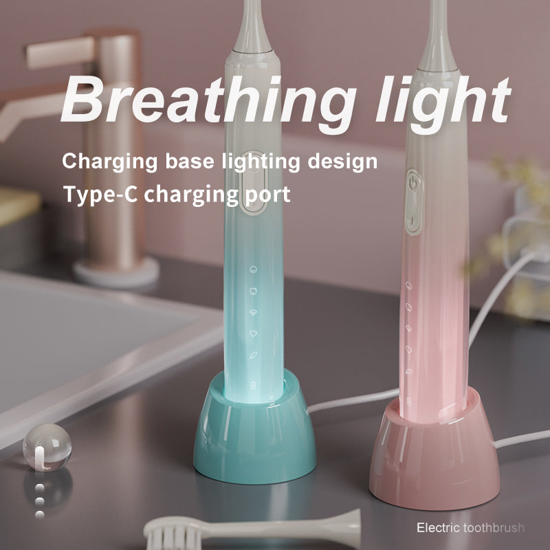 Wholesale Premium Induction Charging Electric Toothbrushes